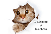 L’autisme et les chats